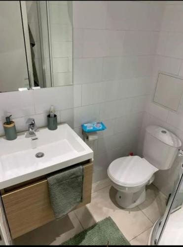une salle de bain avec des toilettes blanches et un lavabo dans l'établissement Superbe studio proche palais et plages à pieds, à Cannes