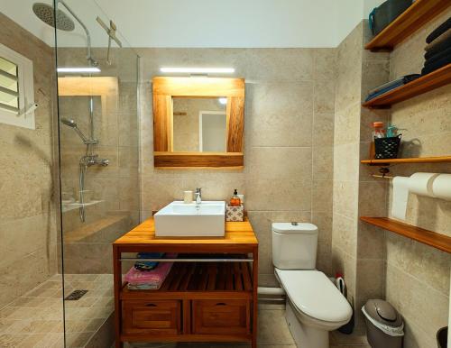 a bathroom with a sink and a toilet and a shower at Appartement sur la plage, avec vue panoramique sur le lagon - IKABA in Saint-François