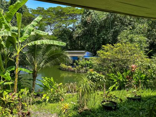a garden with a pond with trees and plants at Baan Suanthip Homestay - Aoluek Natural Retreat in Ao Luk