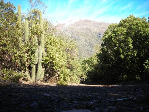 Gallery image of Las lomitas de Guayacan, Cabañas y Spa in San José de Maipo