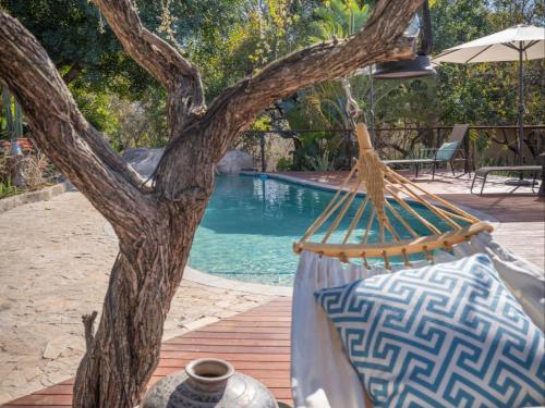 a hammock next to a tree next to a pool at The Wild Blue Lodge SAFARI & SPA in Hoedspruit