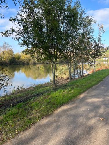 a tree on the side of a road next to a river at maison au bord de l'eau in Millery