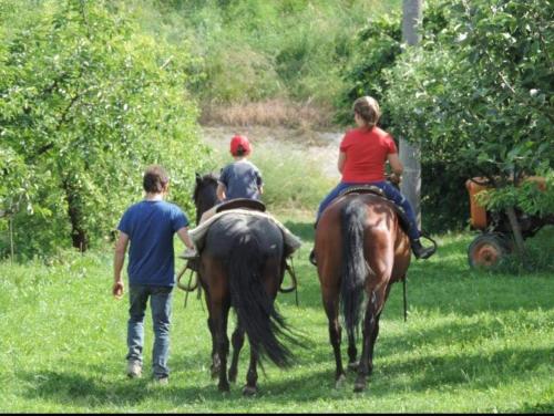 Ảnh trong thư viện ảnh của B&B La Casa Vecchia ở Colorno