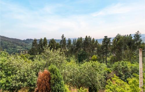 a view from the top of a hill with trees at Amazing Home In Candamo With Kitchen in Candamo