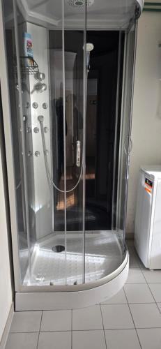 a shower with a glass door in a bathroom at Apartment, 3375 Krummnußbaum an der Donau in Krumnussbaum an der Donauuferbahn