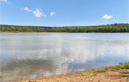 a view of a lake with trees in the background at Lovely Home In Wittstock With Kitchen in Wittstock