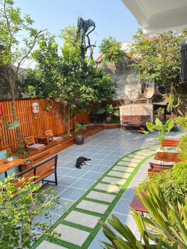 ニンビンにあるOhayo Tam Coc Homestayの猫がベンチのあるパティオに座っている