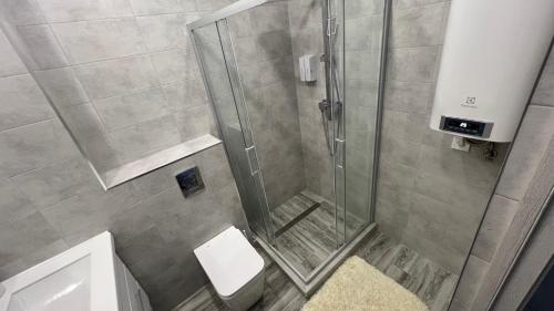 a bathroom with a shower with a toilet and a sink at Snowy Pines Gudauri Alpic Ski Resort in Gudauri
