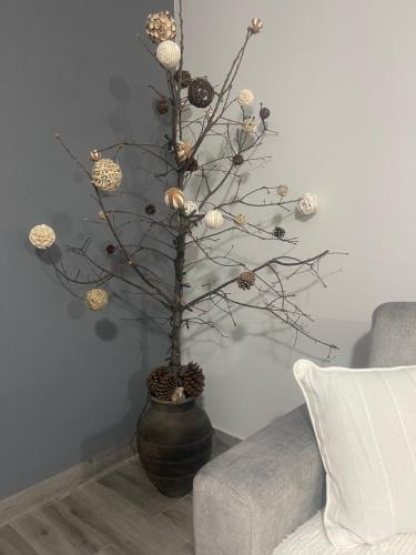 a christmas tree in a vase next to a couch at Casa da Burra in Alijó