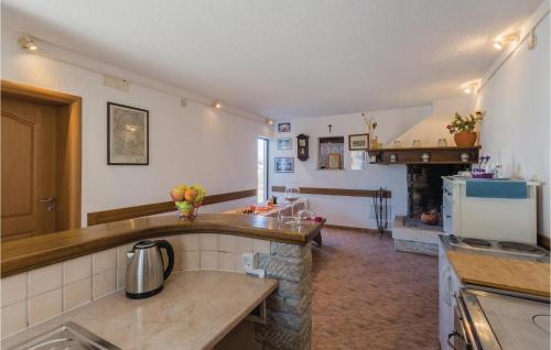 een keuken met een spoelbak en een aanrechtblad bij Apartment Pazin 10 in Katun Lindarski