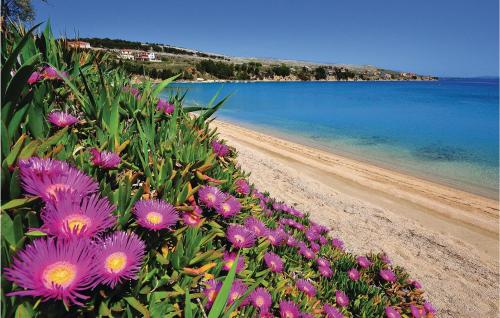 a bunch of purple flowers on a beach at 2 Bedroom Beautiful Apartment In Pag in Pag