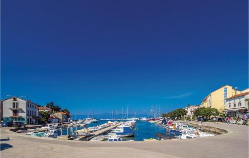 a bunch of boats are docked in a harbor at Lovely Home In Rasopasno With Wifi in Rasopasno