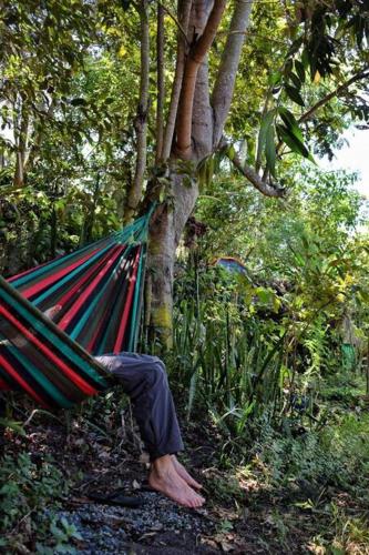 a person sitting in a hammock under a tree at Pátio FlorAção in Igatu