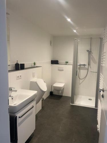 Un baño con ducha, inodoro y lavabo. en Ferienwohnung Biggesee, en Drolshagen