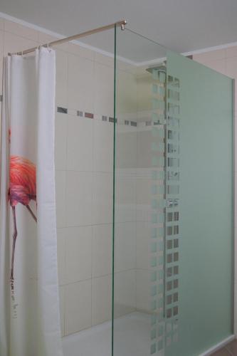 a shower with a glass door in a bathroom at Eifeltraum Marianus in Nieder-Emmels