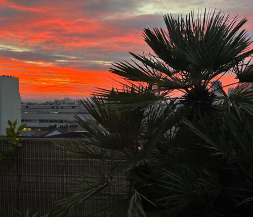 Air conditioned apartment 78 m2, Terrace 50m2