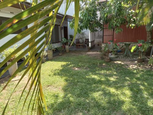 Jardí fora de Dinky