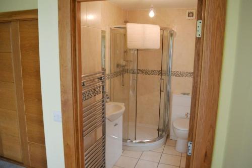 une salle de bain avec douche et toilettes dans l'établissement Ruby's Watch, à Barmouth
