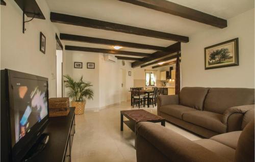 ein Wohnzimmer mit Couch und Flachbildfernseher in der Unterkunft 4 Bedroom Awesome Home In Labin in Labin