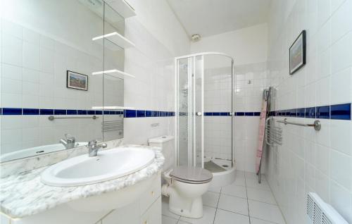 a bathroom with a sink and a toilet and a shower at Nice Home In Chalabre With Wifi in Chalabre