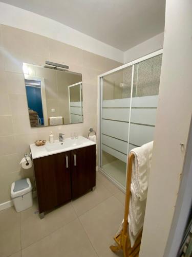 a bathroom with a sink and a shower and a toilet at Casa Elena in Candelaria
