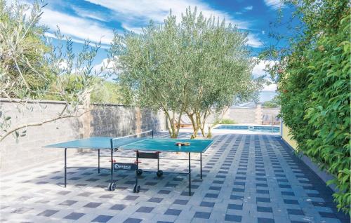 Two-Bedroom Apartment In Biograd