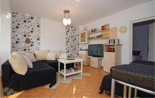a living room with a couch and a tv at Holiday Home Zdrelac 06 in Ždrelac