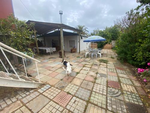 a dog sitting on a patio with an umbrella at CABAÑA EL QUISCO in El Quisco