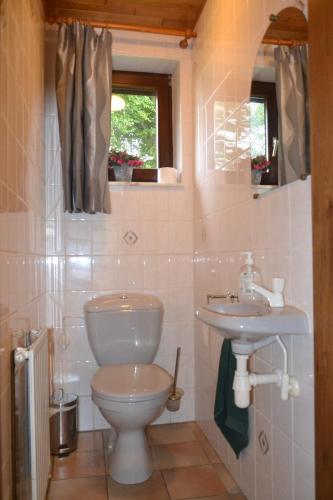 a bathroom with a toilet and a sink at La Maison du Bonheur in Gouvy