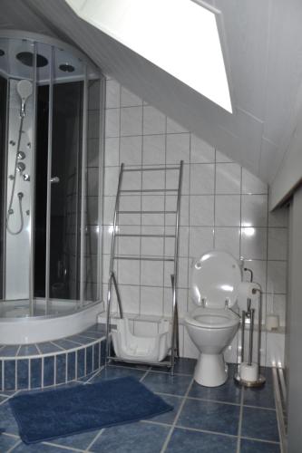 a bathroom with a toilet and a bath tub at La Maison du Bonheur in Gouvy