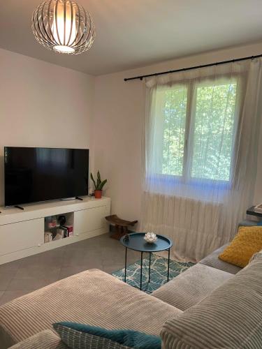 un salon avec un canapé et une télévision à écran plat dans l'établissement Charmant 3 pièces proche du métro lignes 7-14, du centre ville et de l'Institut Gustave Roussy IGR - NETFLIX - PARKING, à Villejuif