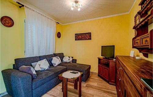 TV a/nebo společenská místnost v ubytování Holiday Home Pelegrin 58