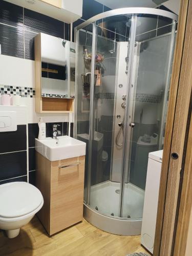 une salle de bain avec une douche, des toilettes et un lavabo dans l'établissement Studio au cœur de Cerdagne, à Bourg-Madame