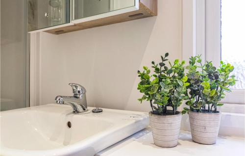 a bathroom sink with two potted plants on it at 2 Bedroom Amazing Home In Heinkenszand in Heinkensand