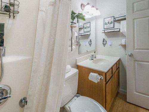 a bathroom with a toilet and a sink and a shower at NEW LISTING Sasquatch Lodge F in Gatlinburg
