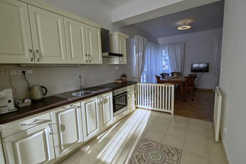 Dapur atau dapur kecil di Villa Veleslavín