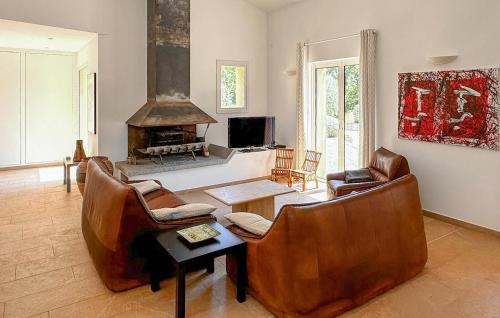 - un salon avec des fauteuils en cuir et une cheminée dans l'établissement Cozy Home In Salernes With Wifi, à Salernes
