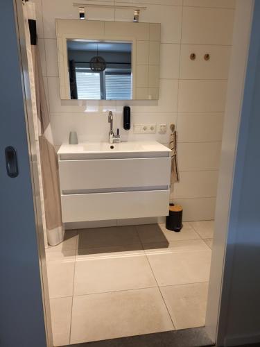 un bagno con lavandino e specchio di Sundaville bij Posbank Veluwe a Eerbeek