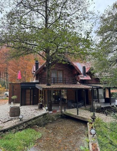 a house with a tree in front of it at Villa Lumi 1 in Brezovicë