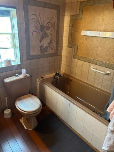 a bathroom with a tub and a toilet and a sink at maison au bord de l'eau in Millery