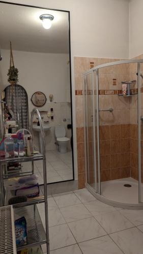 a bathroom with a shower and a toilet at Pension Central in Ústí nad Labem