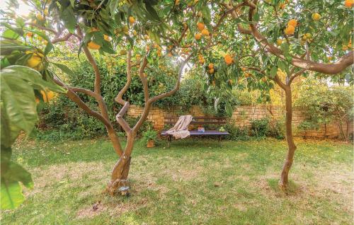 2 Bedroom Gorgeous Apartment In Pula