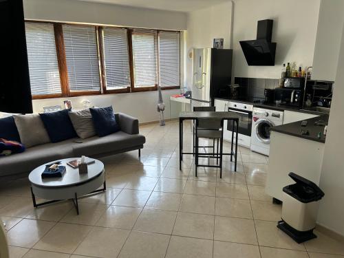 un salon avec un canapé et une table dans l'établissement Appartement Standing, Parkings devant le Velodrome, à Marseille