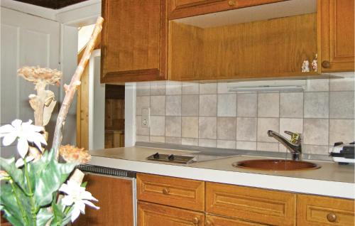 Kuchyň nebo kuchyňský kout v ubytování Ferienhaus In Ruhiger Lage