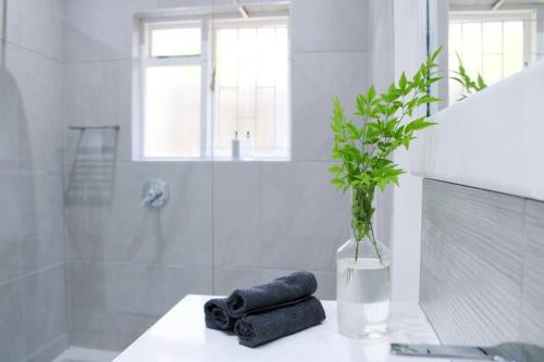 a bathroom with a vase with a plant on a counter at Luxury Poolside Villa Irene in Cape Town