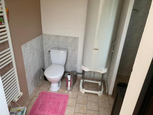 une petite salle de bain avec toilettes et douche dans l'établissement une chambre à la campagne, à Thouars