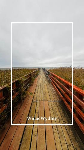 a wooden boardwalk in the middle of a field at Widać Wydmy in Łeba
