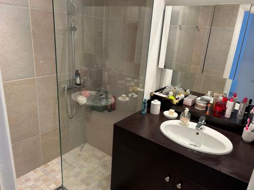 une salle de bain avec une douche avec un lavabo et une douche dans l'établissement Appartement Standing, Parkings devant le Velodrome, à Marseille