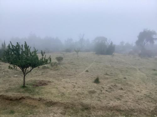 Paisaje cerca de este hotel