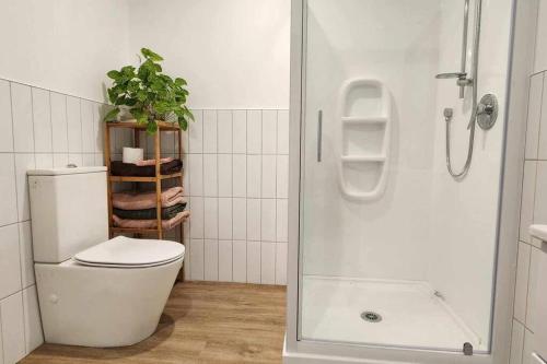 a white bathroom with a toilet and a shower at Beautiful New Onerahi Studio in Whangarei